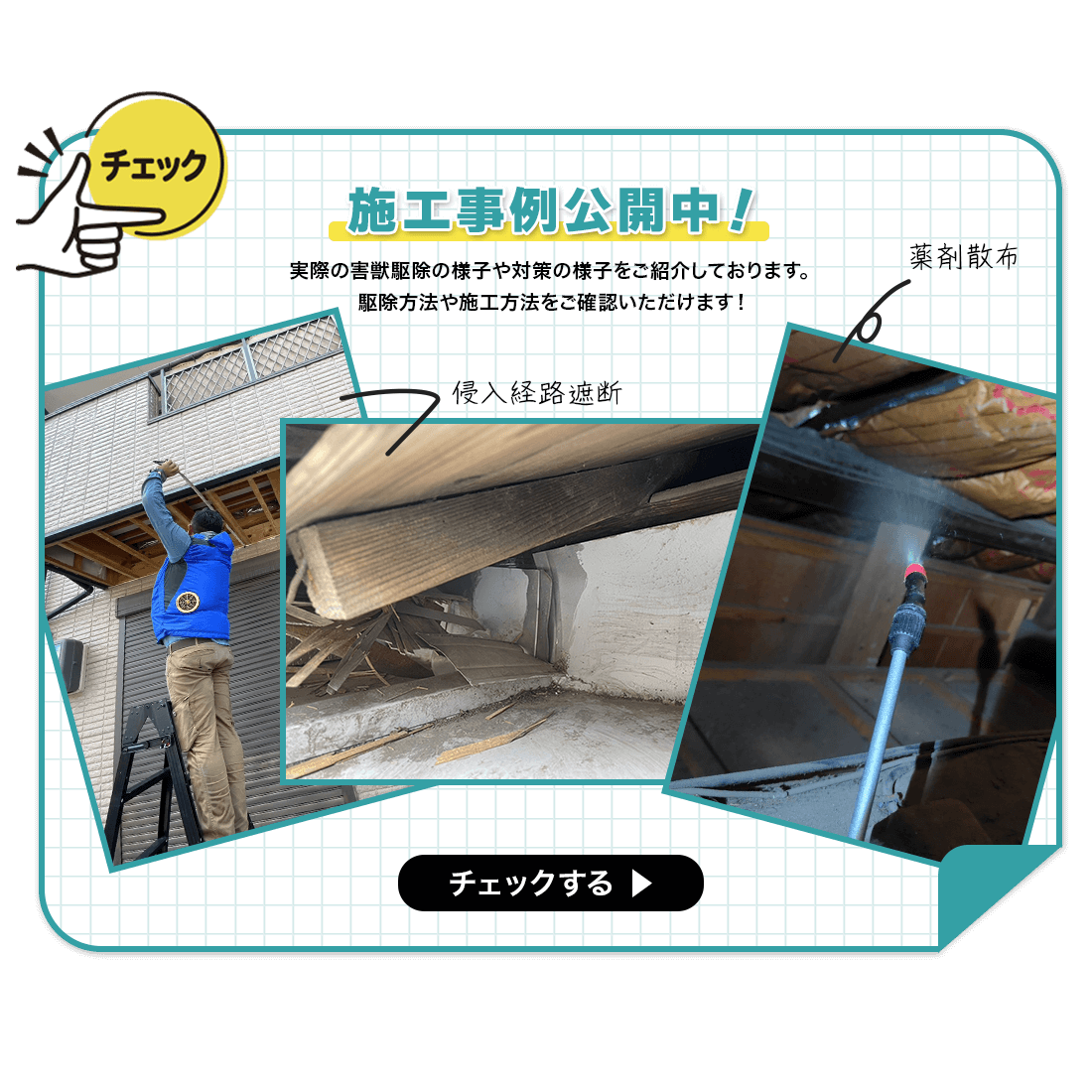 webコラムはこちら