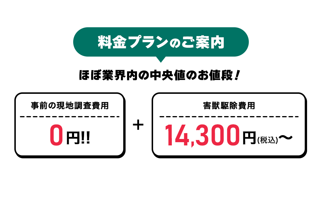 料金プラン