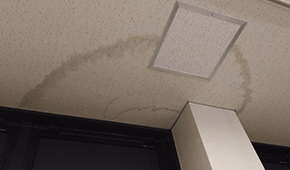 目に見える兆候