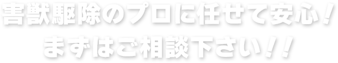 お問い合わせはこちら
