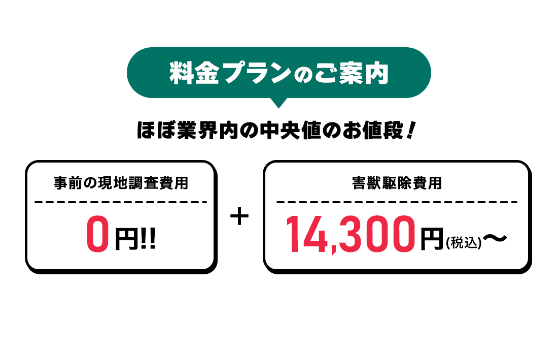 料金プラン