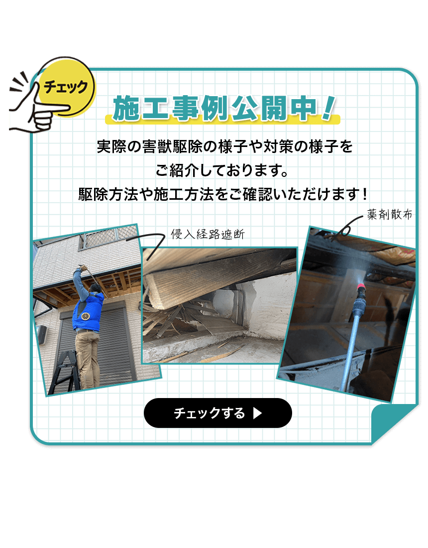 webコラムはこちら