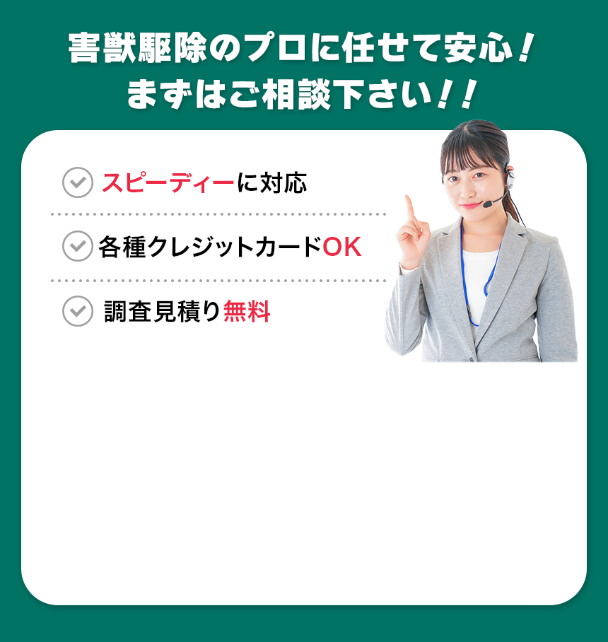 お問い合わせはこちら
