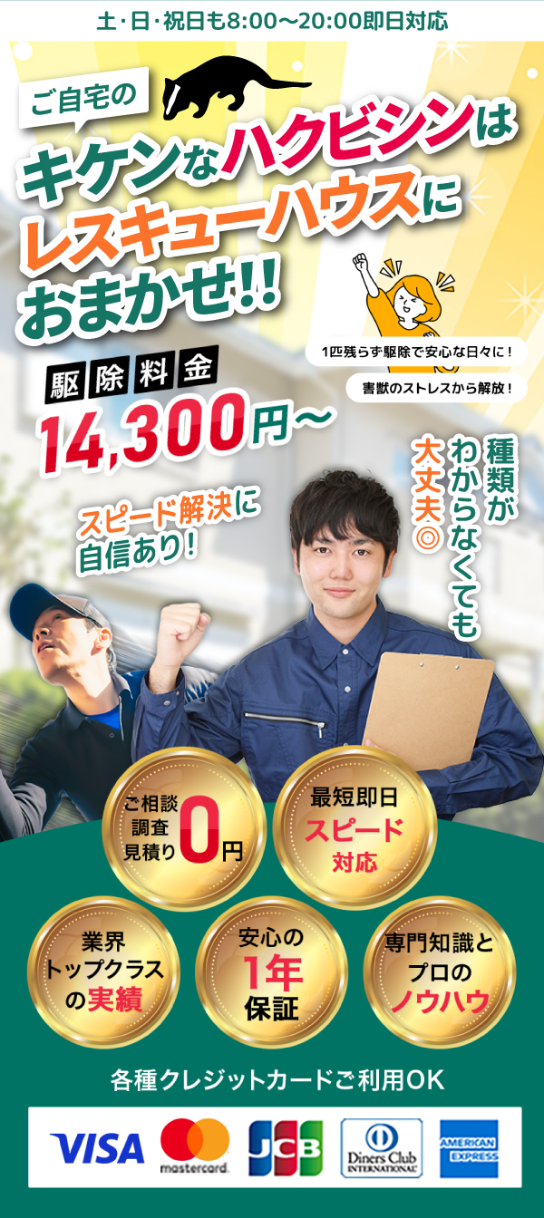 キケンなハクビシンはプロにおまかせ！