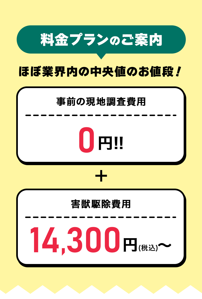料金プラン