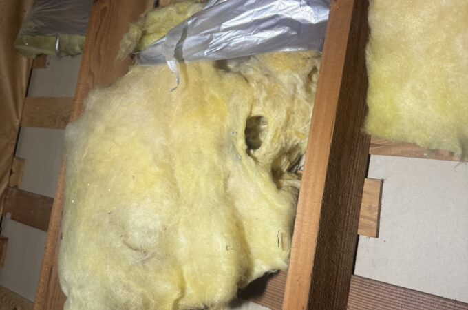 害獣による断熱材の被害が冷暖房効率に与える影響とは？
