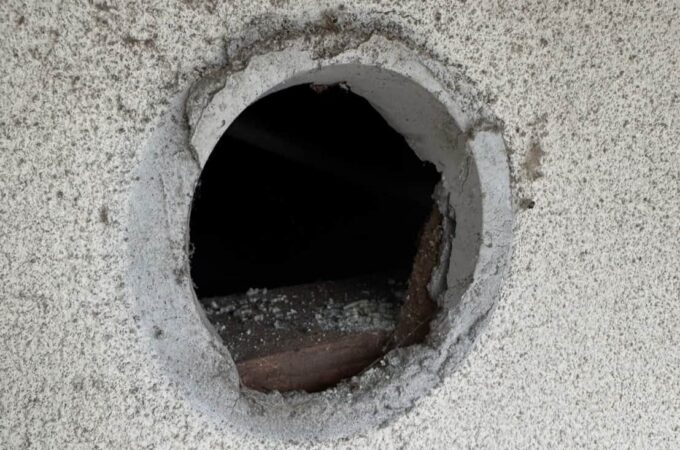 天井にシミ・壁に穴…ハクビシンやイタチが原因かも？早期発見のチェックリスト