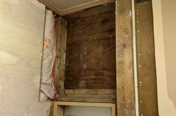 雨漏りを放置すると床下が危険！湿気が呼ぶシロアリの連鎖被害とは