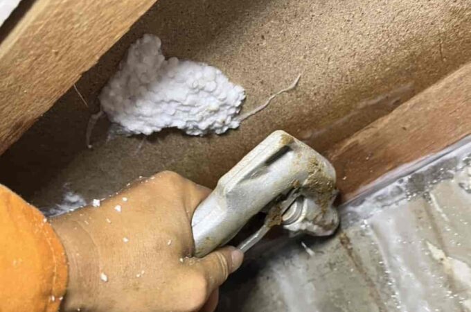 断熱リフォーム前に要注意！断熱材の裏に潜むシロアリ