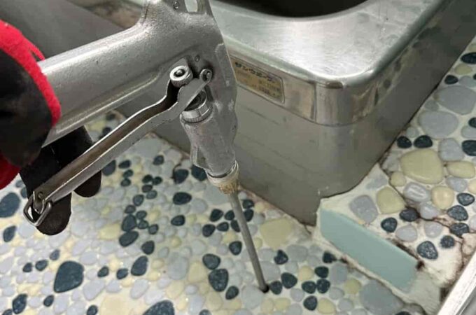 シロアリはどこから入る？侵入しやすい場所とは