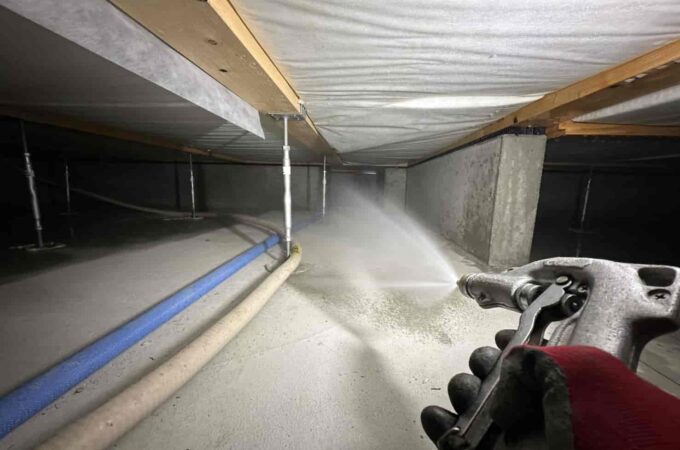 シロアリは古い家だけ？実は新築でも被害が出る理由