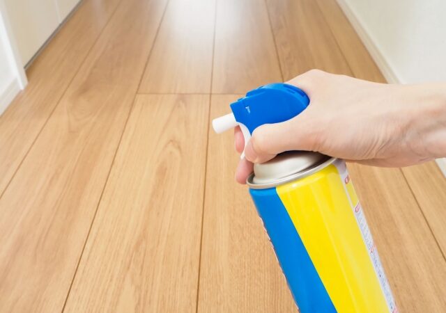 シロアリ対策でやってはいけないNG行動5選