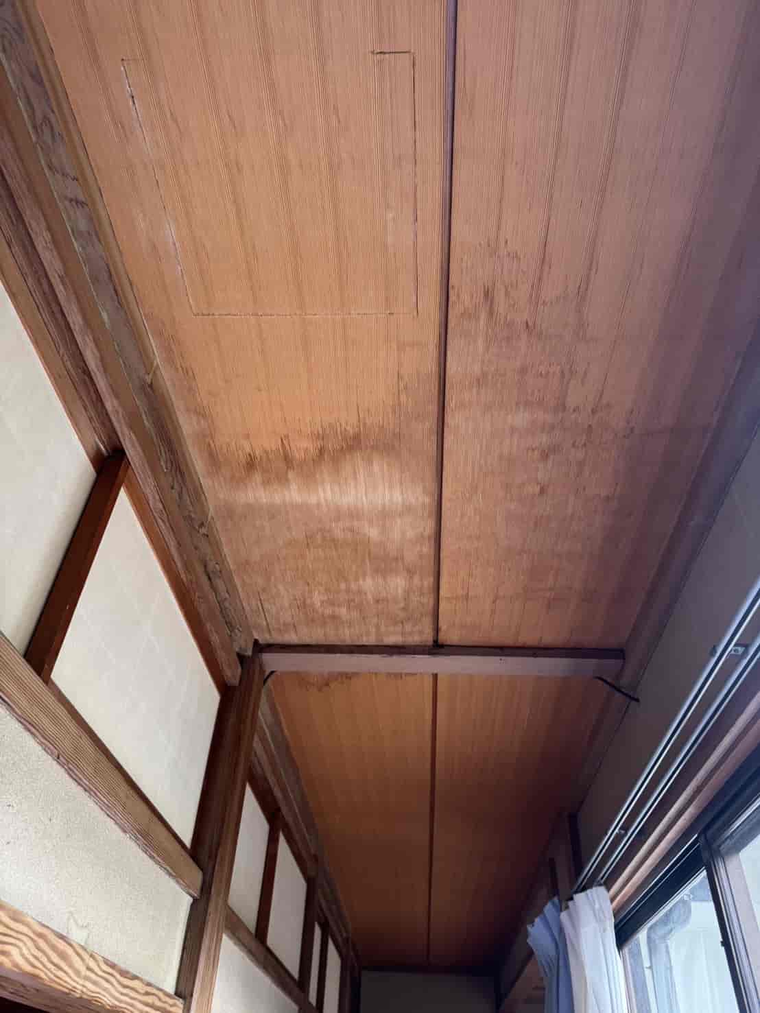 天井から雨漏り…まずやるべき応急処置を解説