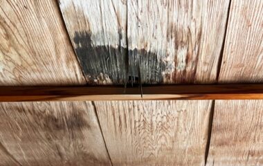 雨の日だけ部屋が臭う…その原因、雨漏りかもしれません