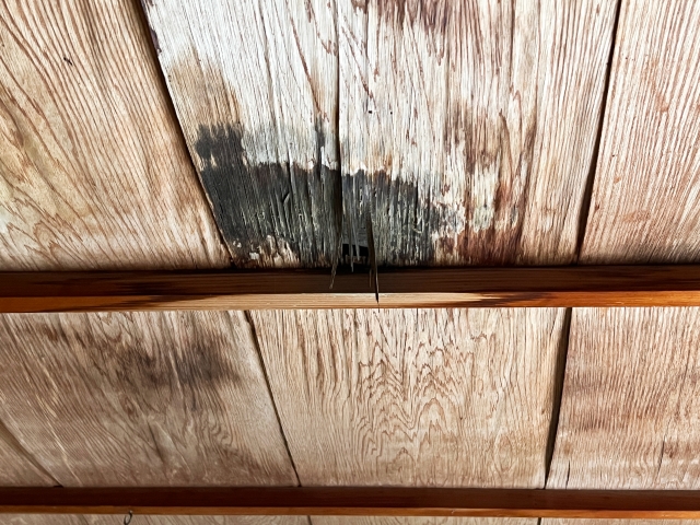 雨の日だけ部屋が臭う…その原因、雨漏りかもしれません