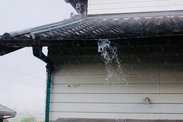 台風や大雨のあとにシロアリが発生しやすいって本当？